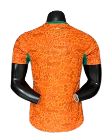 2026 Player Version Ivory Coast Jersey 