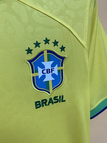 2022 Brazil Home