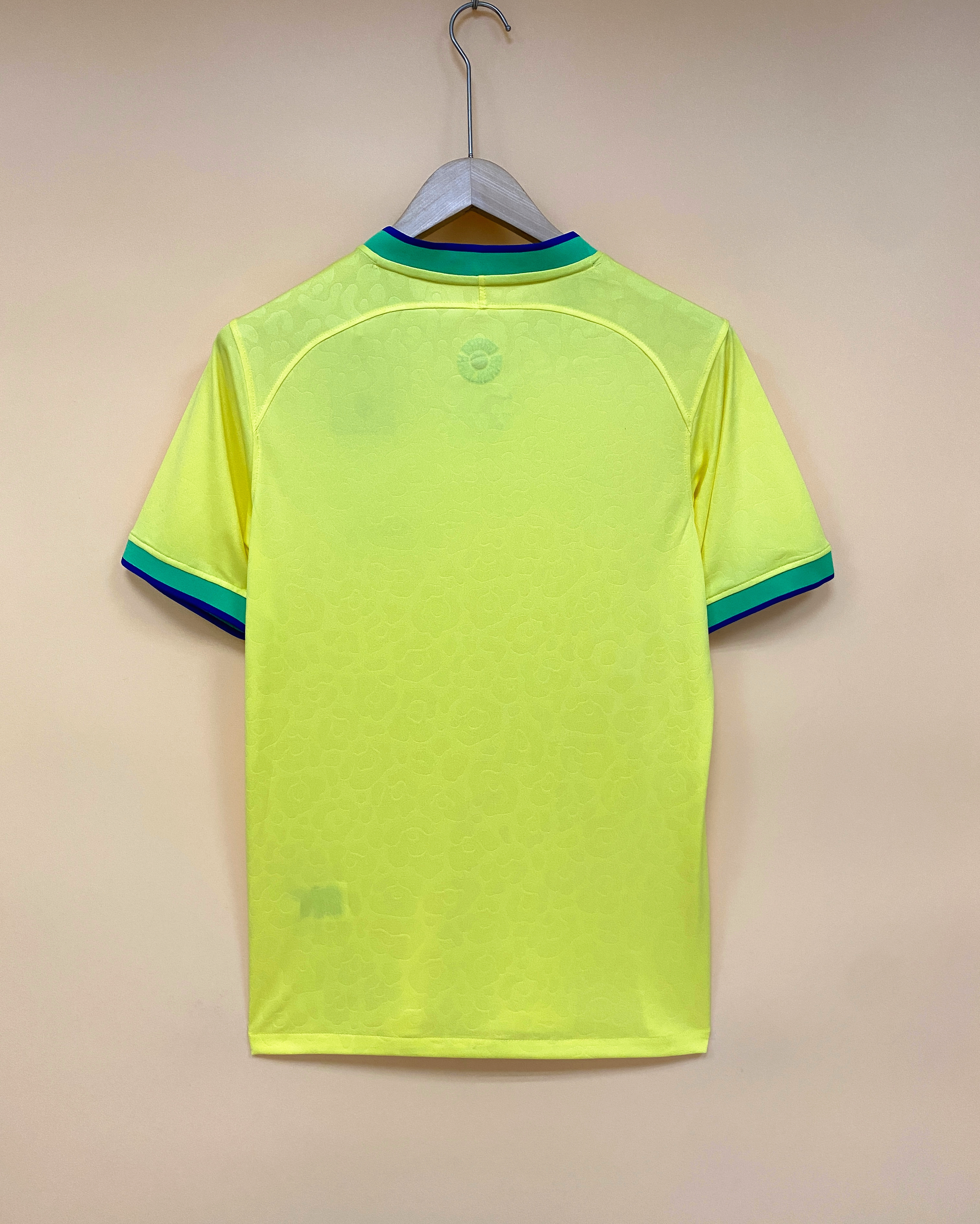 2022 Brazil Home