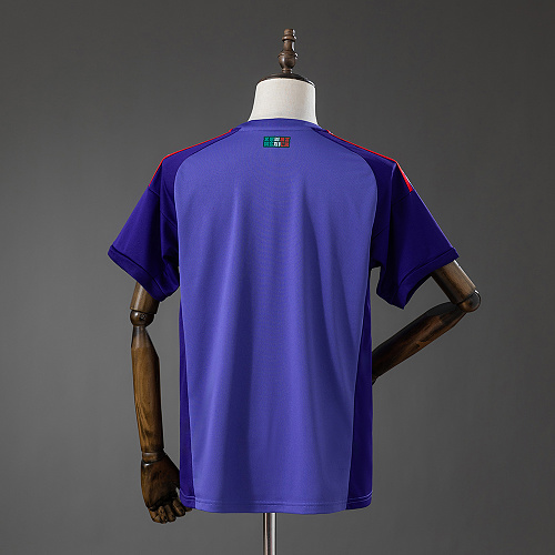 Mexico 2026 GK Away Jersey