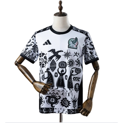 Mexico 25/26 Special Edition Jersey  01