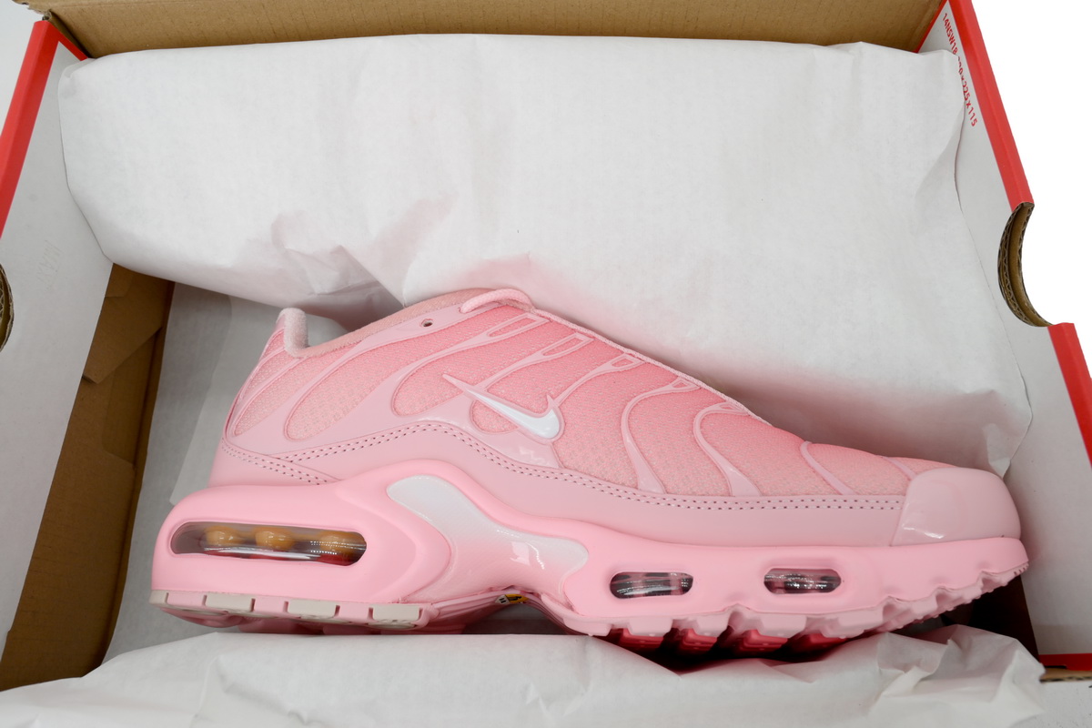 Nike Wmns Air Max Plus 'City Special - Atlanta' DH0155-600 