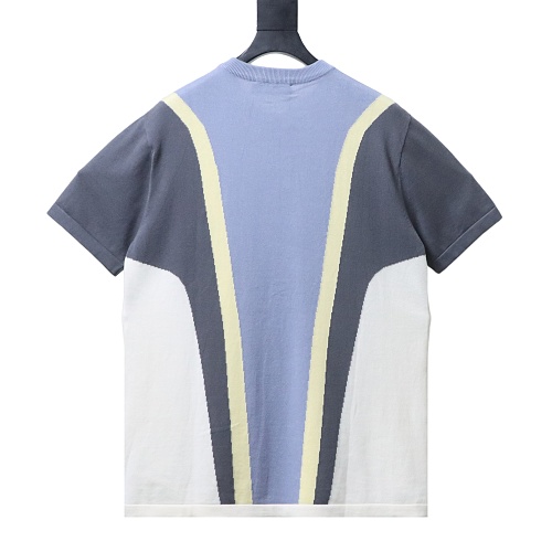 Louis Vuitton Color Block Embossed LV Knit Short Sleeve Crewneck