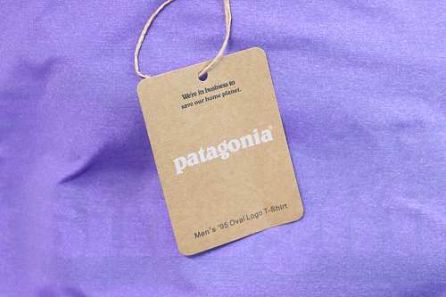 Patagonia Men's Capilene Cool Daily Graphic Long‑Sleeve Shirt Purple
