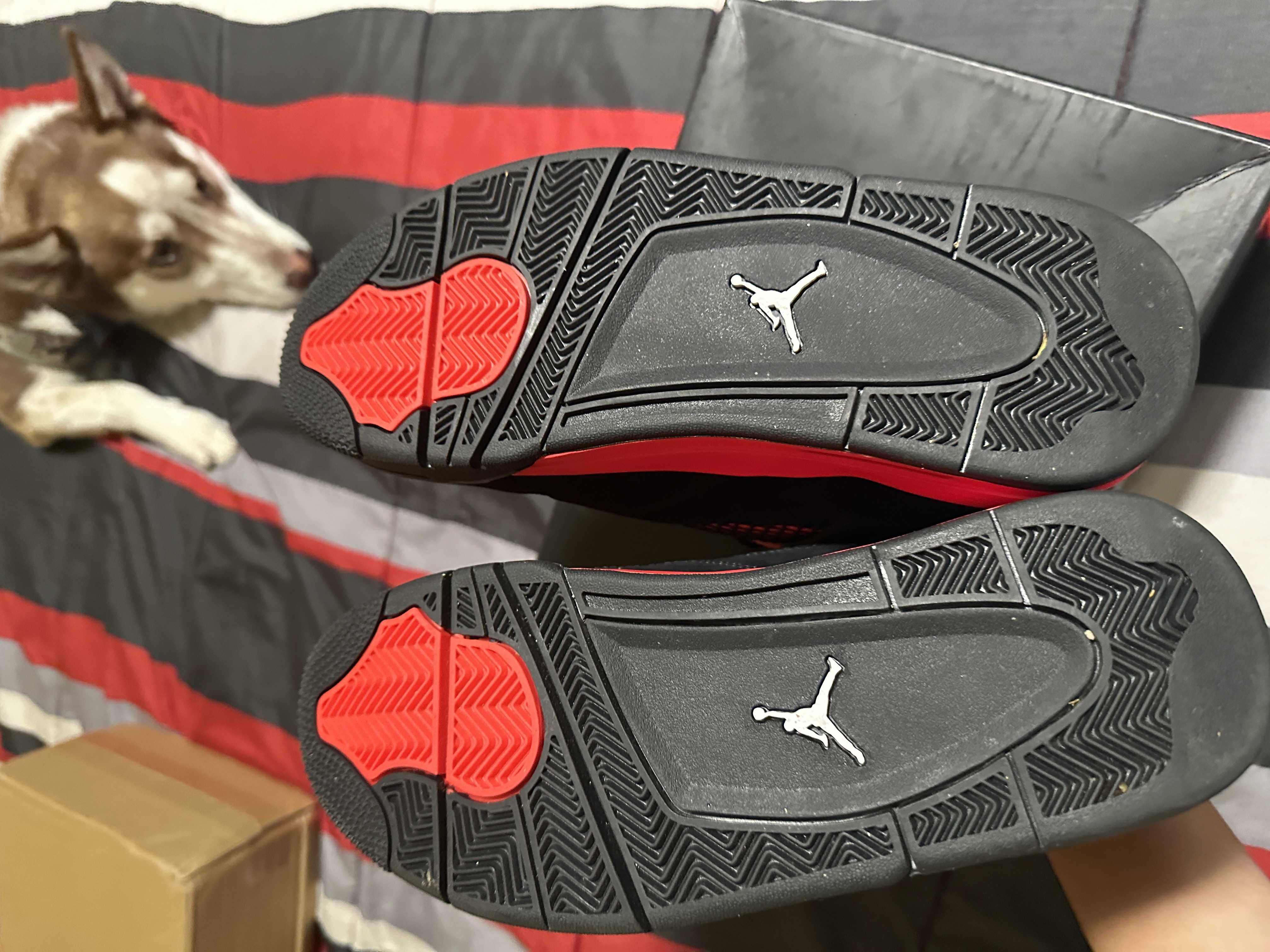 PK God Batch Air Jordan 4 Red Thunder CT8527-016 review VKTV 01
