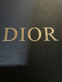 PK God Batch Dior B22 Black Silver 3SN231ZNG_H969 review 7