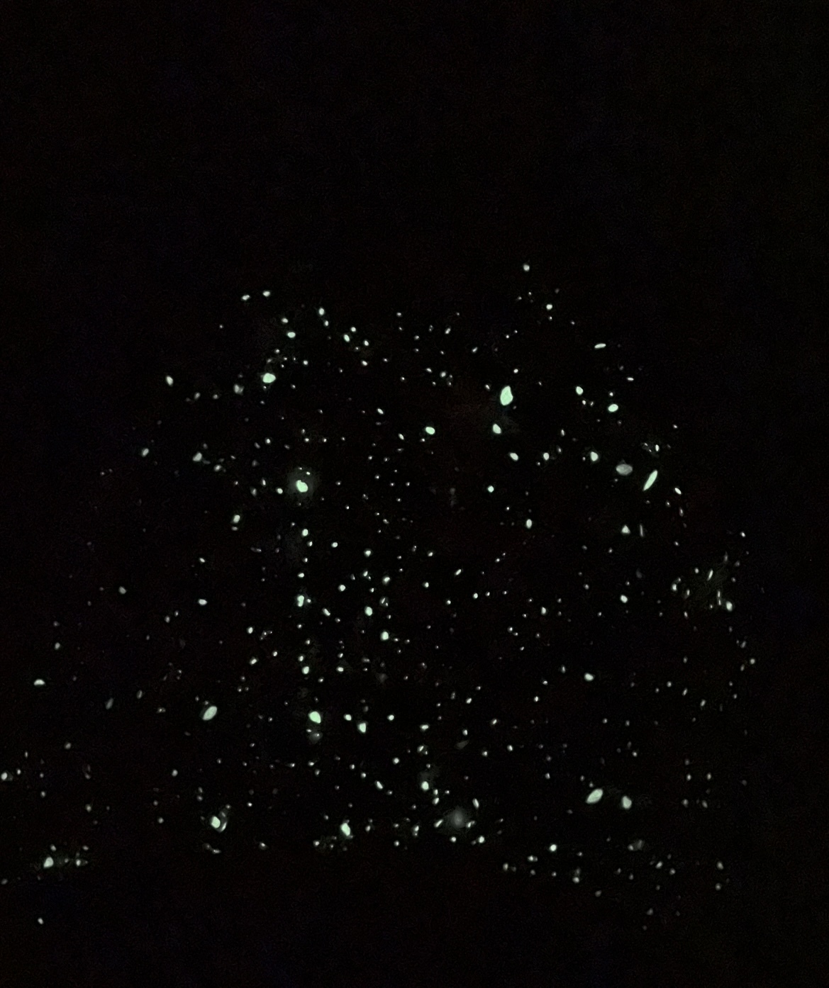 BAPE Space Camo Shark Full Zip Hoodie White review 8