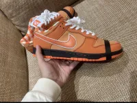 LJR Batch Nike SB Dunk Low Concepts Orange Lobster FD8776-800 review 4