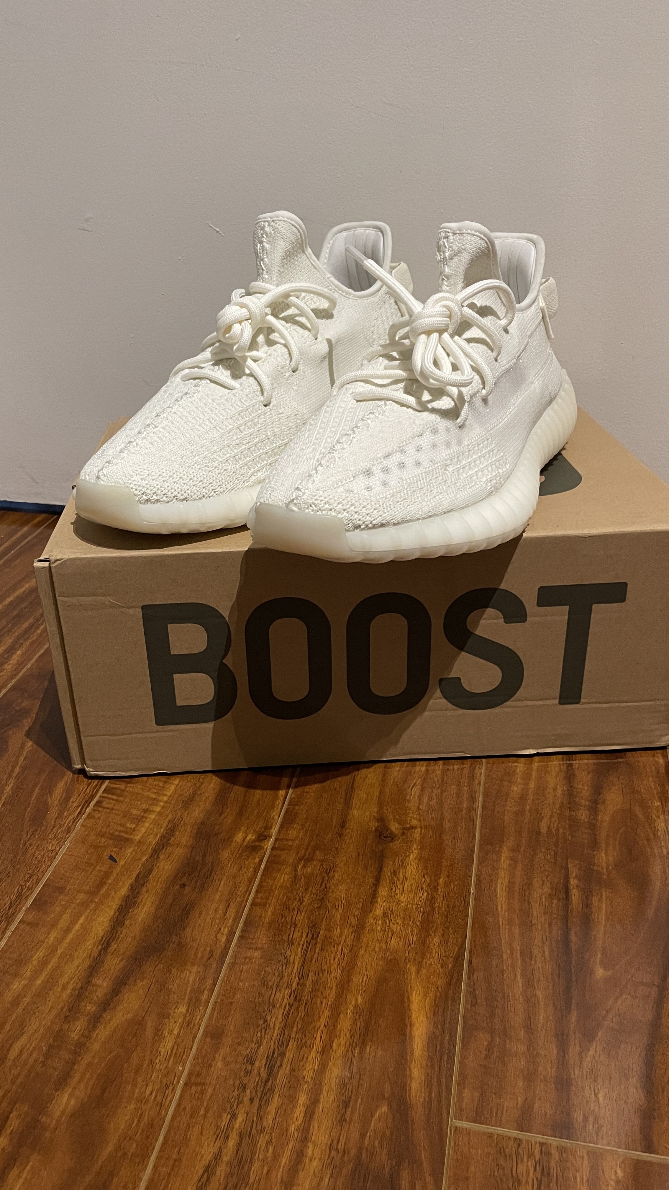 LJR Batch adidas Yeezy Boost 350 V2 Bone HQ6316 review BC AshXx 01