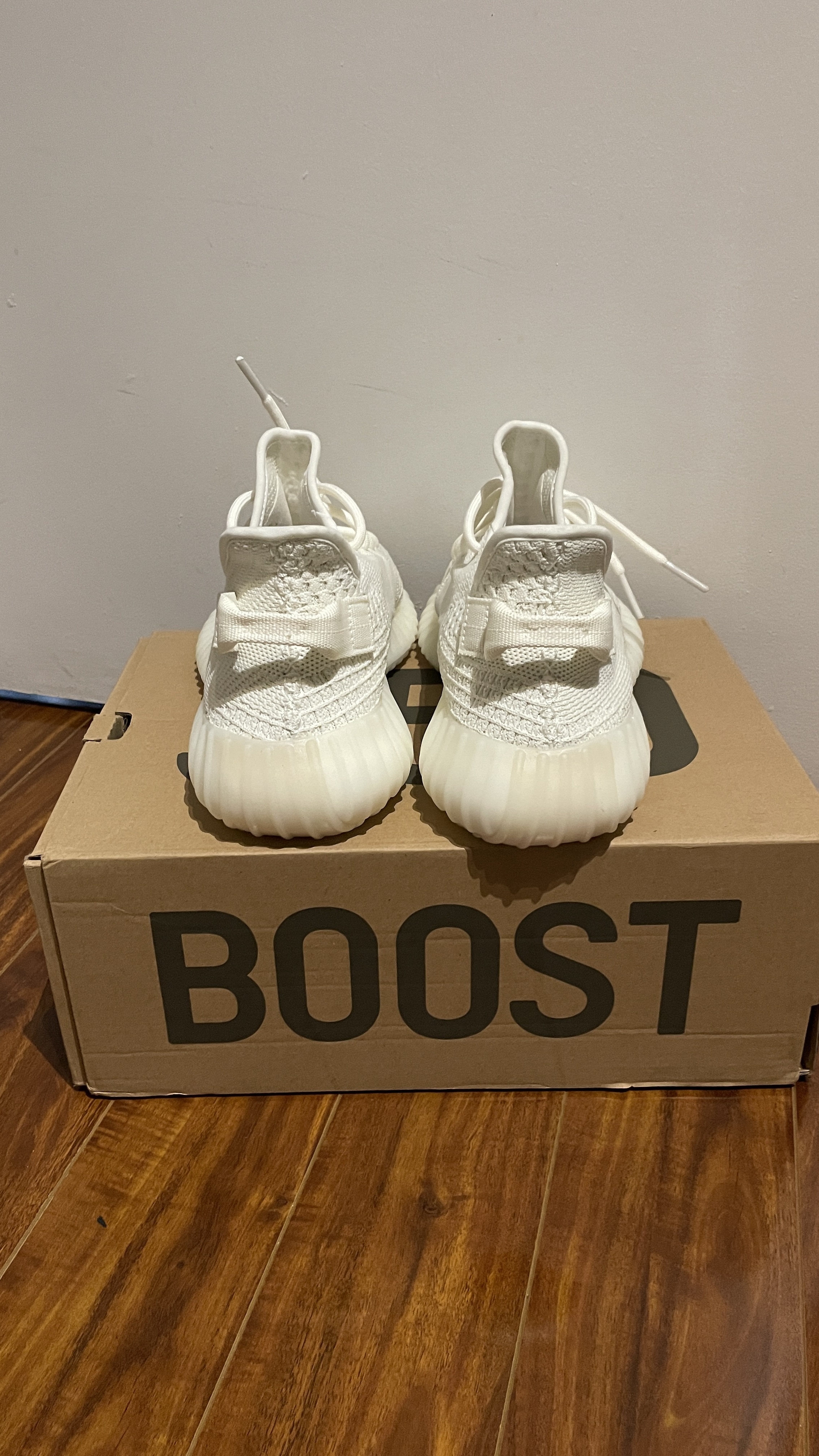 LJR Batch adidas Yeezy Boost 350 V2 Bone HQ6316 review BC AshXx 05