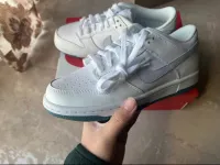 LJR Batch Nike SB Dunk Low White Lobster (Friends and Family)  FD8776-100 review 2