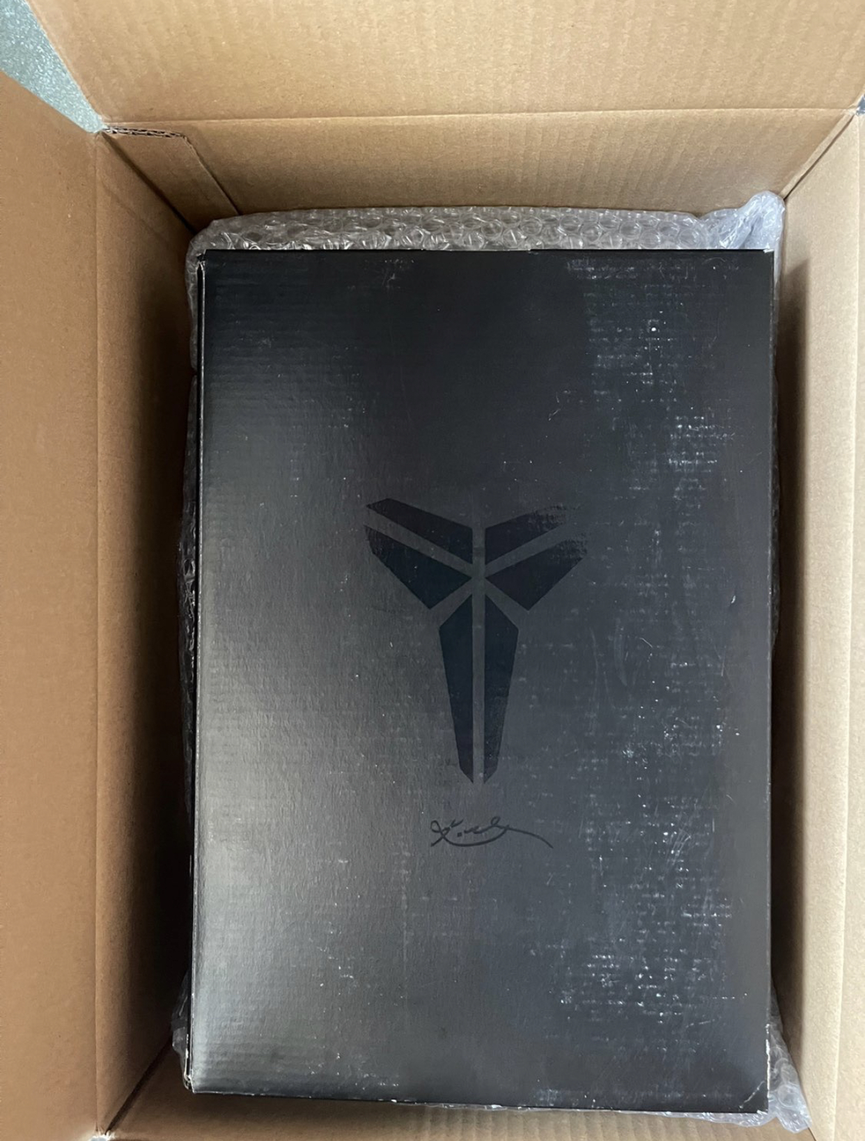 Nike Kobe 6 Protro Grinch CW2190-300 review N*** 00