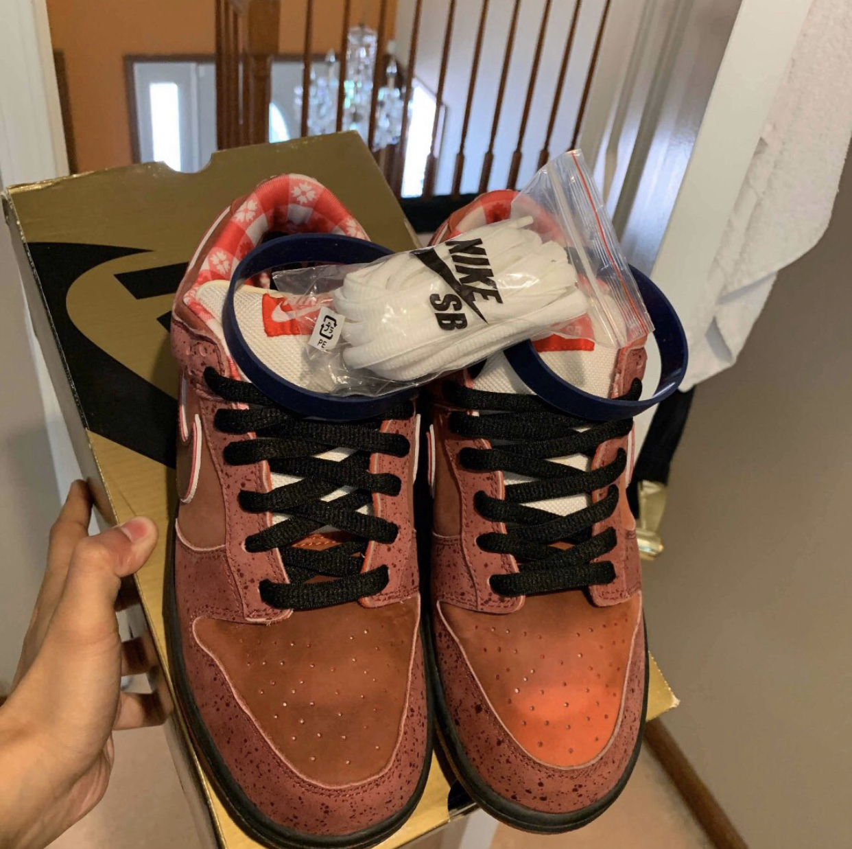 PK God Batch Nike SB Dunk Low Concepts Red Lobster 313170-661 review Y***