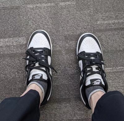 LJR Batch Nike Dunk Low Black DD1391-100 review B*** 01