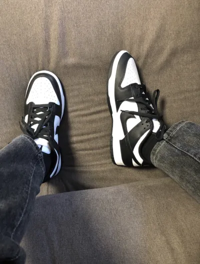 LJR Batch Nike Dunk Low Black DD1391-100 review K*** 00