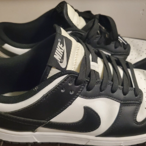 LJR Batch Nike Dunk Low Black DD1391-100 review 