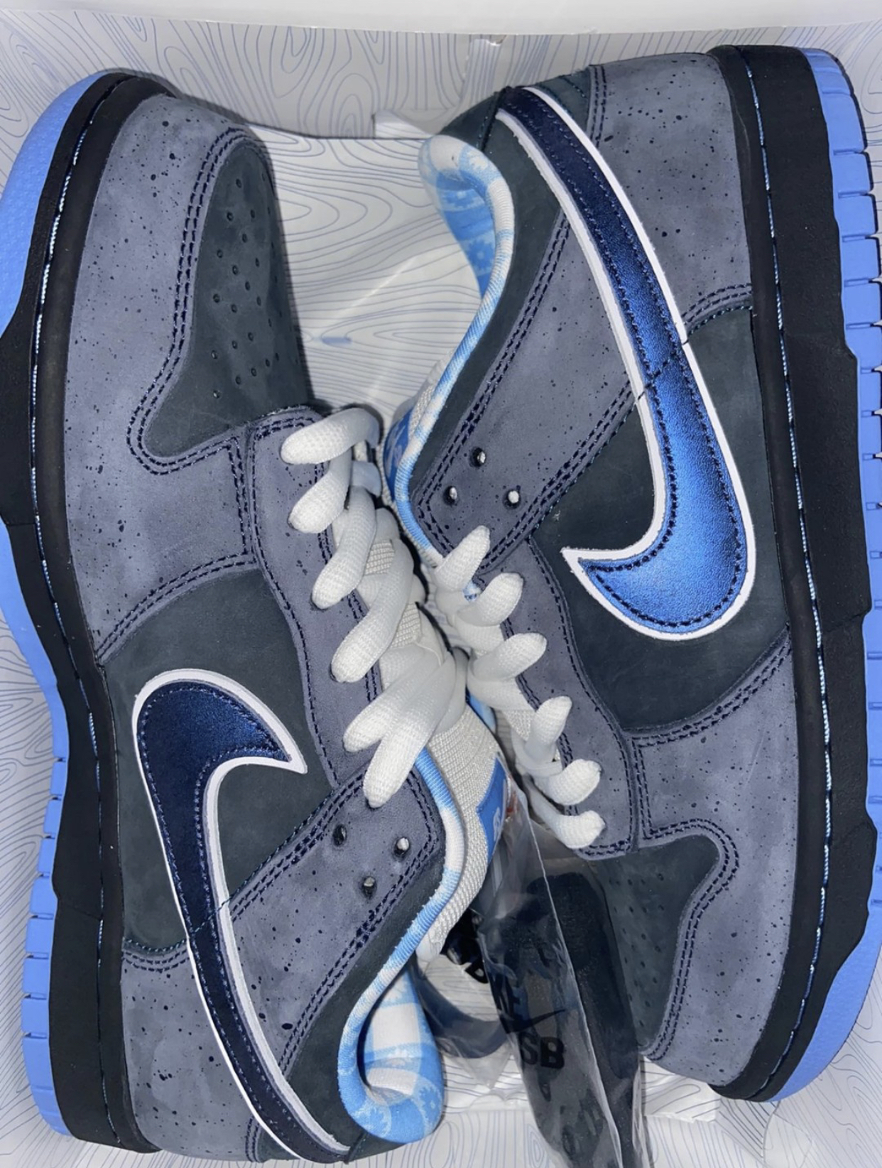 PK God Batch Nike SB Dunk Low Concepts Blue Lobster 313170-342 review T*** 00