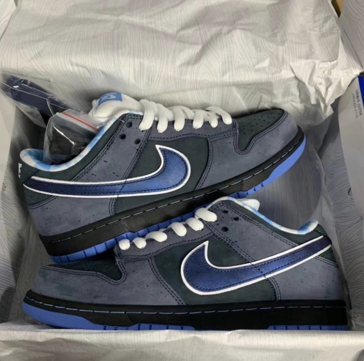 PK God Batch Nike SB Dunk Low Concepts Blue Lobster 313170-342 review Y***