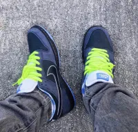PK God Batch Nike SB Dunk Low Concepts Blue Lobster 313170-342 review 0