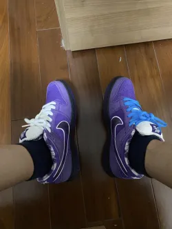 LJR Batch Nike SB Dunk Low Pro OG QS Purple Lobster BV1310 555  review Z***