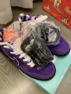 LJR Batch Nike SB Dunk Low Pro OG QS Purple Lobster BV1310 555  review O*** 03