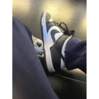 LJR Batch Nike Dunk Low Black DD1391-100 review 1