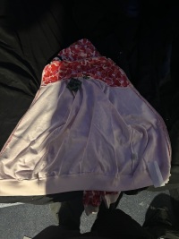 BAPE ABC Camo Shark Full Zip Hoodie Pink review 0