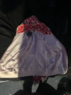 BAPE ABC Camo Shark Full Zip Hoodie Pink review Gerko 01