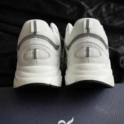 PK God Batch Dior B22 White Silver 3SN231YJG_H000 review K*** 04
