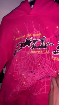 Sp5der P*NK Hoodie Pink review J***
