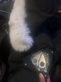 Moose Knuckles ORIGINAL 3Q FUR Black/Whites review 0