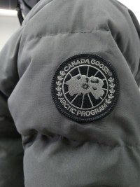 Canada Goose Wyndham Parka Black Label Coastal Grey review 2