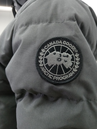Canada Goose Wyndham Parka Black Label Coastal Grey review E*** 02