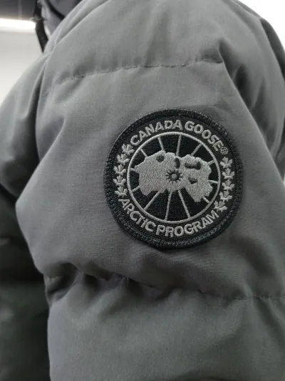 Canada Goose Wyndham Parka Black Label Coastal Grey review E*** 02