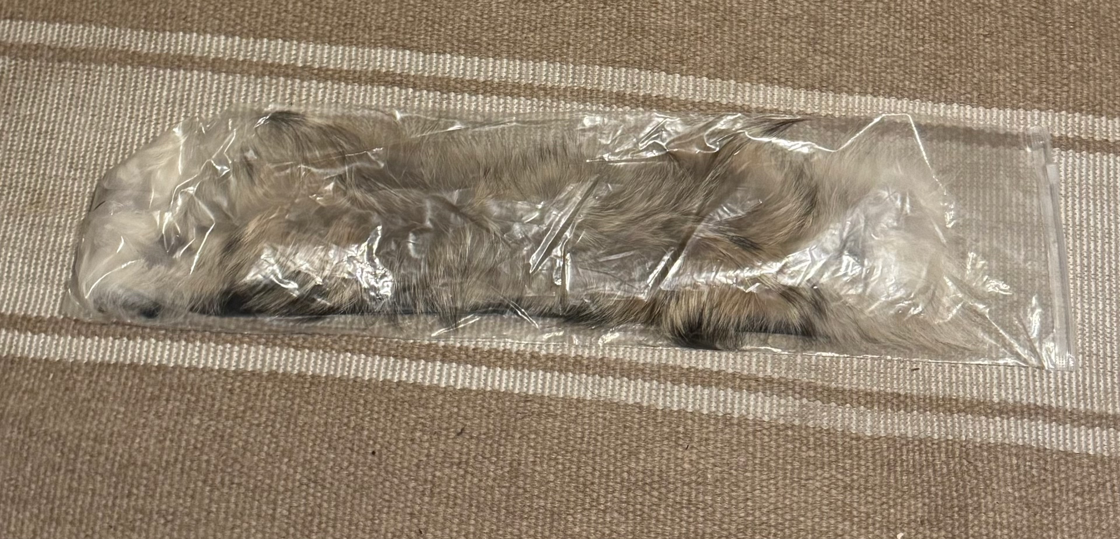 Canada Goose Wyndham Parka review Tyrone 04