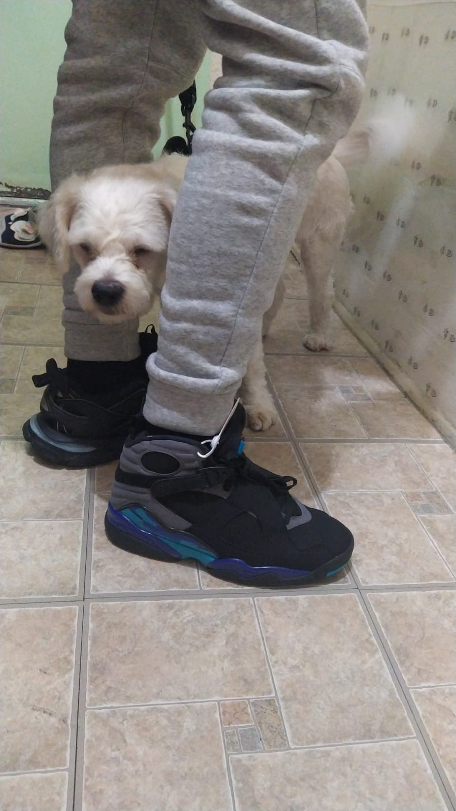 PK God Batch Air Jordan 8 “Aqua” 305381-025 review Jayden Seay 01