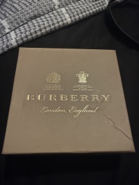 Burberry Thin Reversible Check TB Belt Gold review 1