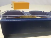 Louis Vuitton Square Acetate Sunglasses Clear review 4