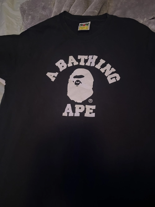Bape-134-0304 review 