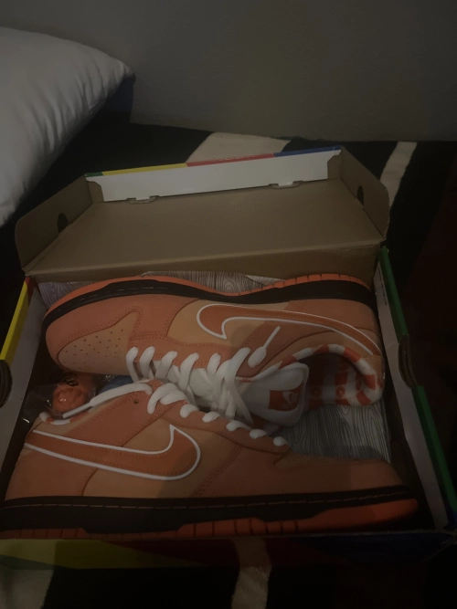 LJR Batch Nike SB Dunk Low Concepts Orange Lobster FD8776-800 review 