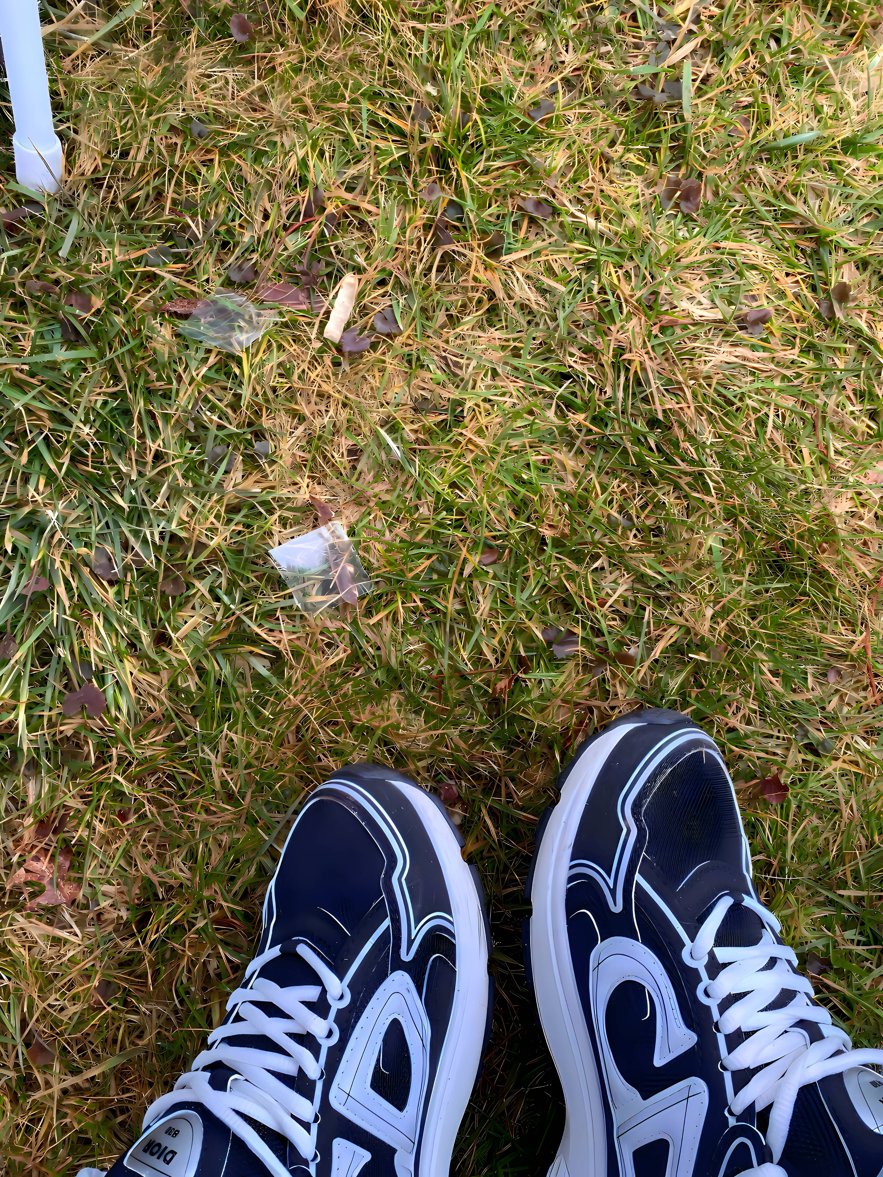 PK God Batch Dior Light Grey 'B30' Sneakers Black Coffee Color 3SN279ZND-H969 review Daniel 01