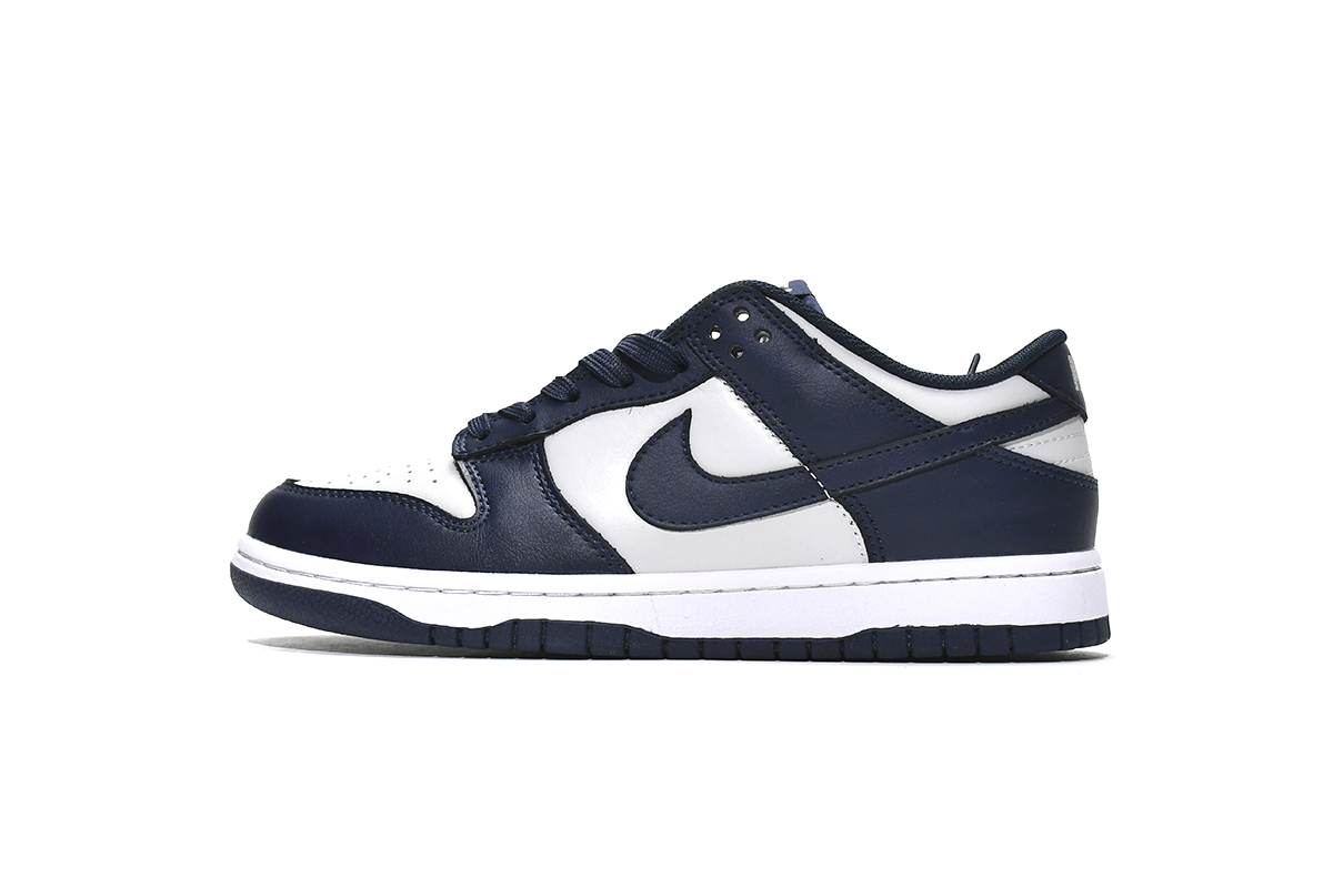 nike dunk georgetown low