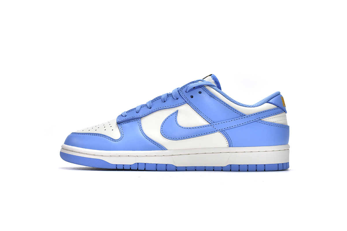 Blue Coast Dunks