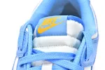 Low Coast Dunks