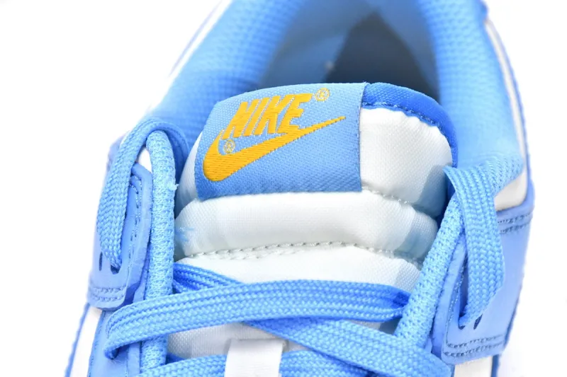 Low Coast Dunks