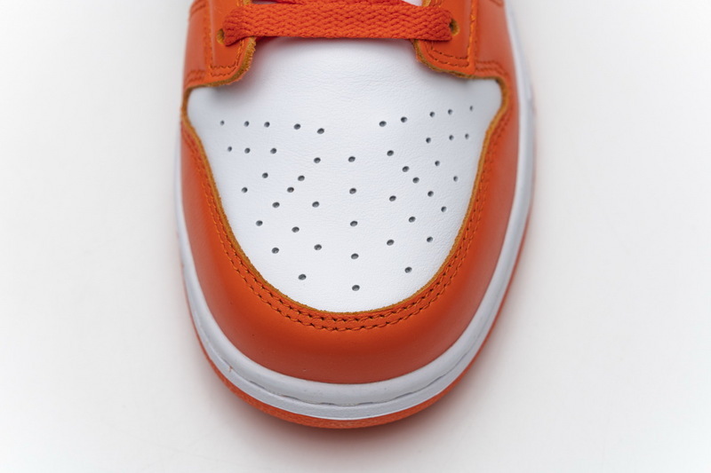 syracuse nike dunk low