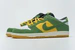Nike Dunk Low Pro SB Buck