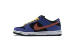 Nike SB Dunk ACG