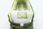 green lobster nike sb