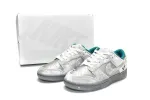 Nike Ice Dunks